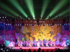 Luoyang Penoy Festival Show
